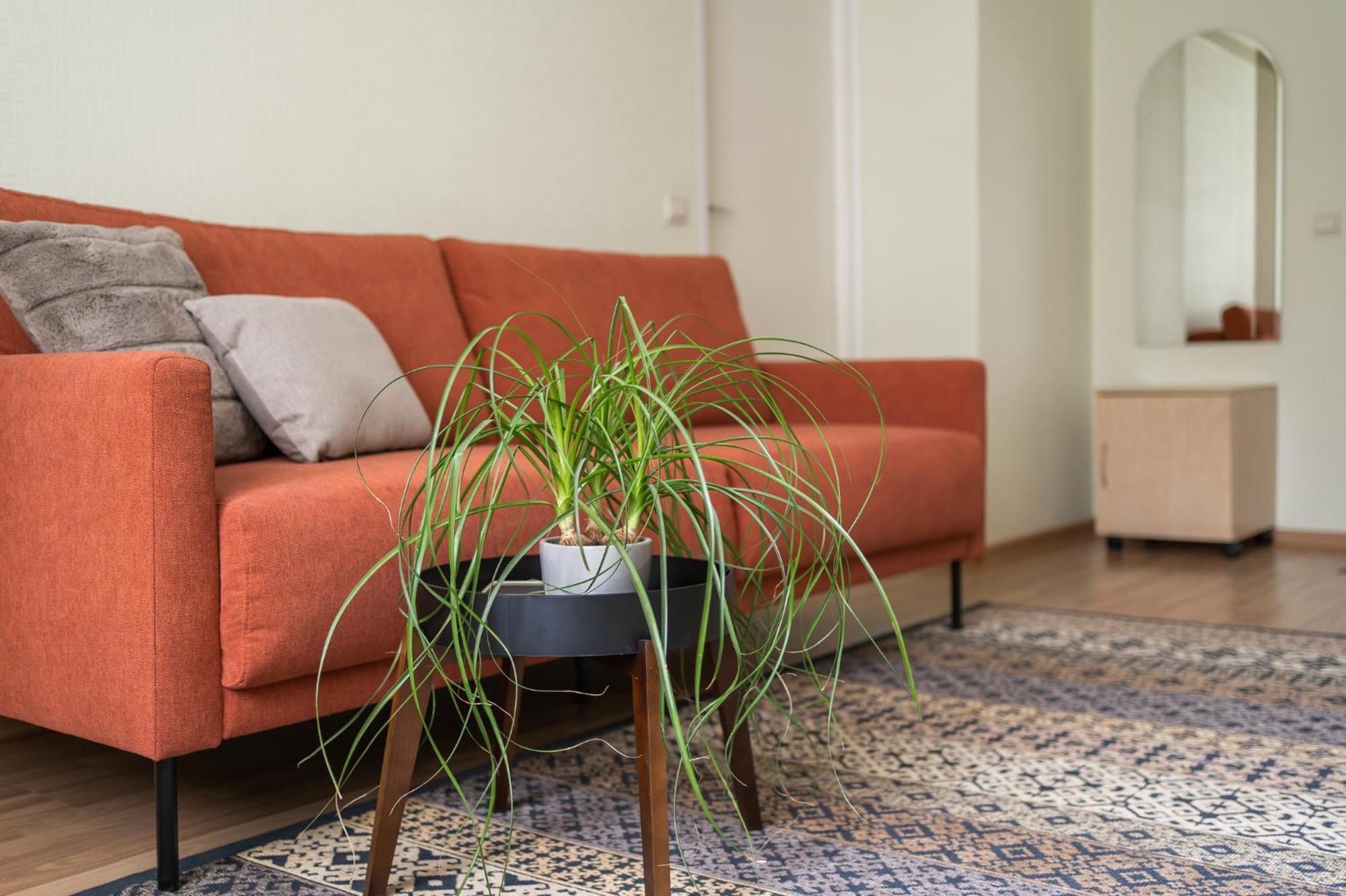 Virumaa Hostel Kohtla-Järve Buitenkant foto